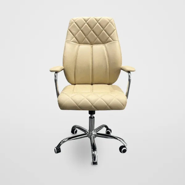 Director Chair CZ-M-015